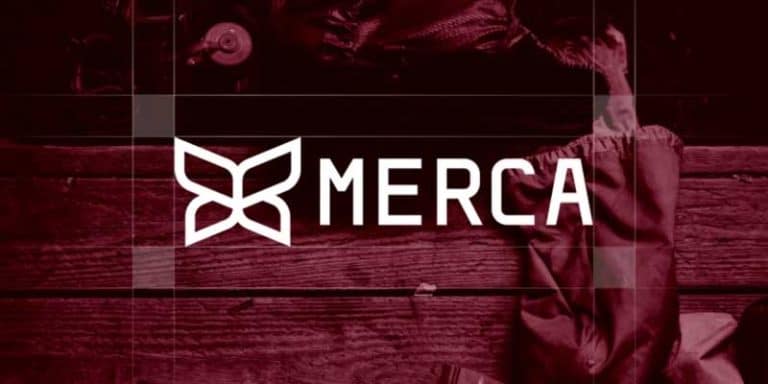 Creative Butterfly Logo Ideas of All-Time