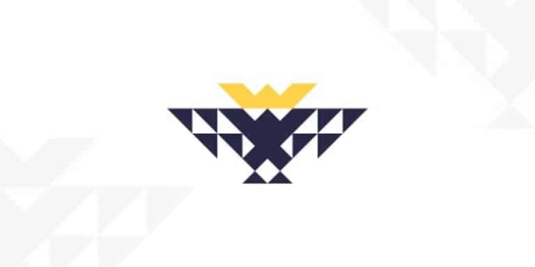 Creative Hawk Logo Ideas of All-Time