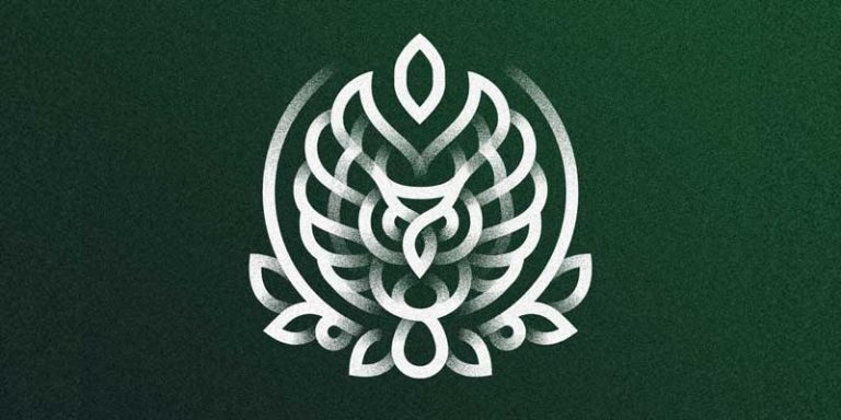 Cool Owl Logo Ideas of All-Time