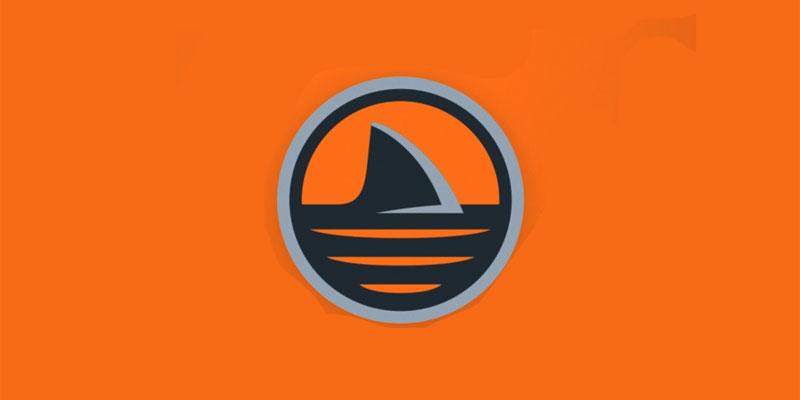 shark logo ideas