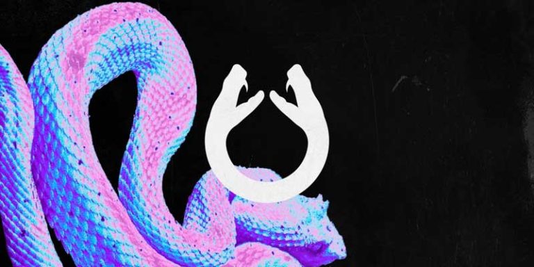 Creative Viper Logo Ideas of All-Time