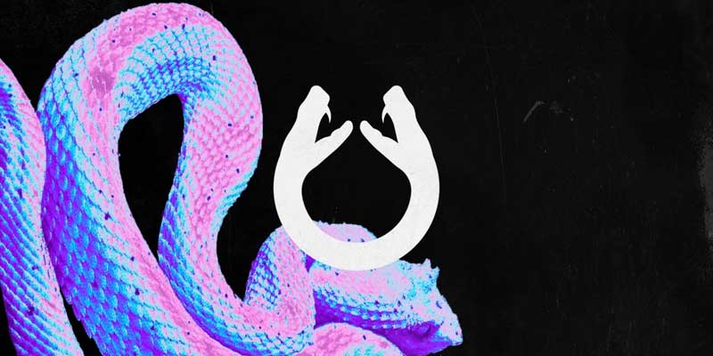 viper logo ideas