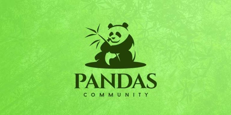 Cutest Panda Logo Ideas of All-Time