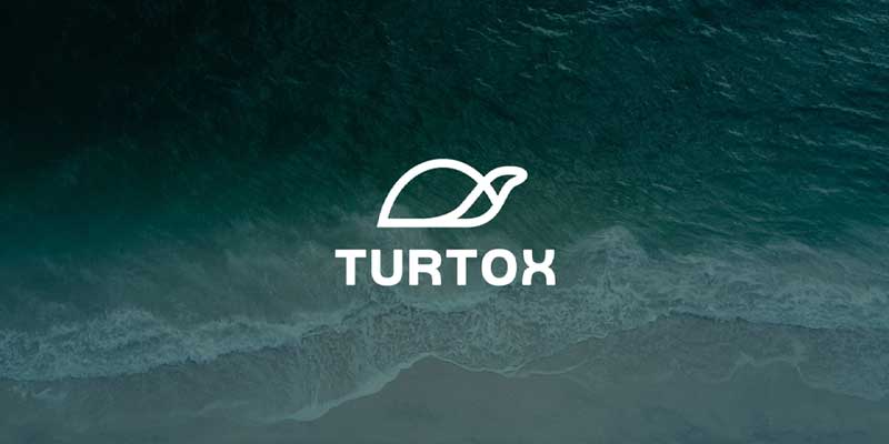 turtle logo ideas