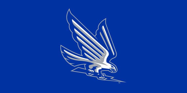 Best Nighthawk Logo Ideas of All-Time