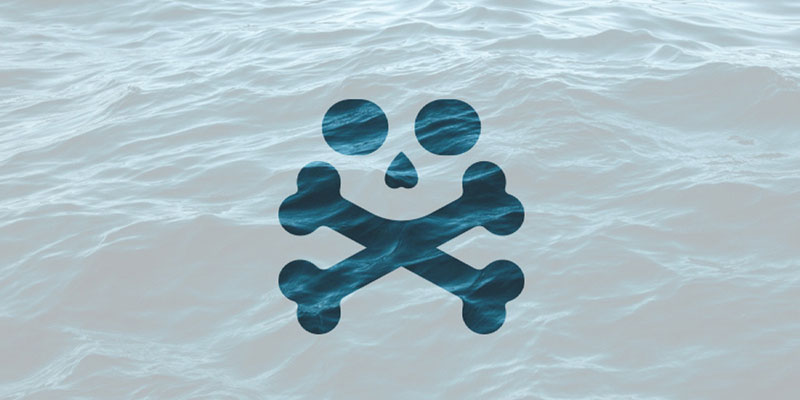 creative skull logo ideas